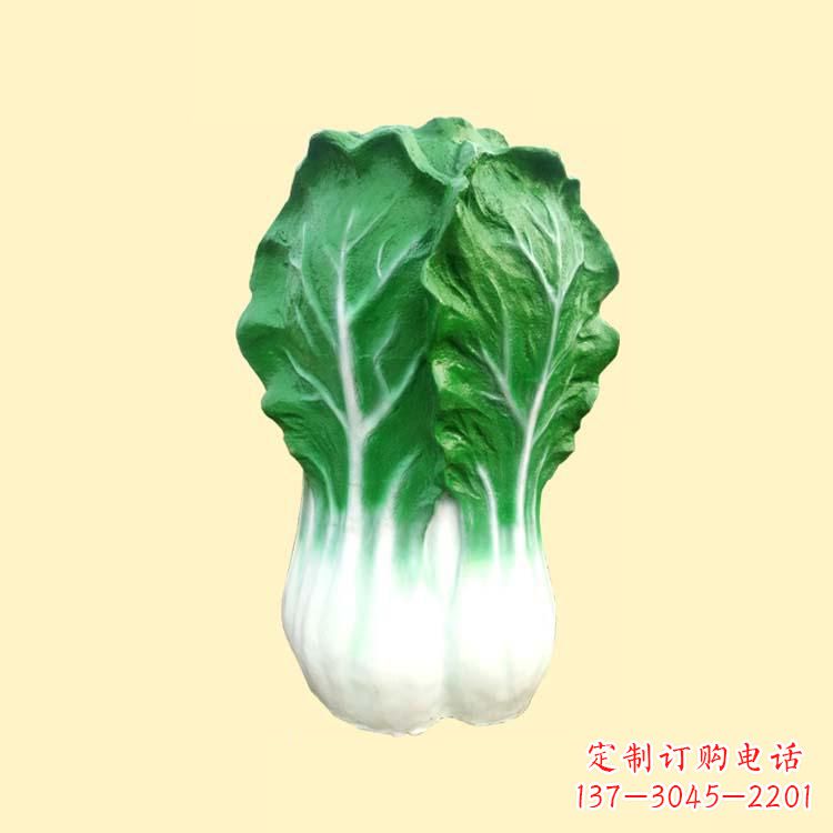 保定白菜智能投影仪——让你的生活更加精彩