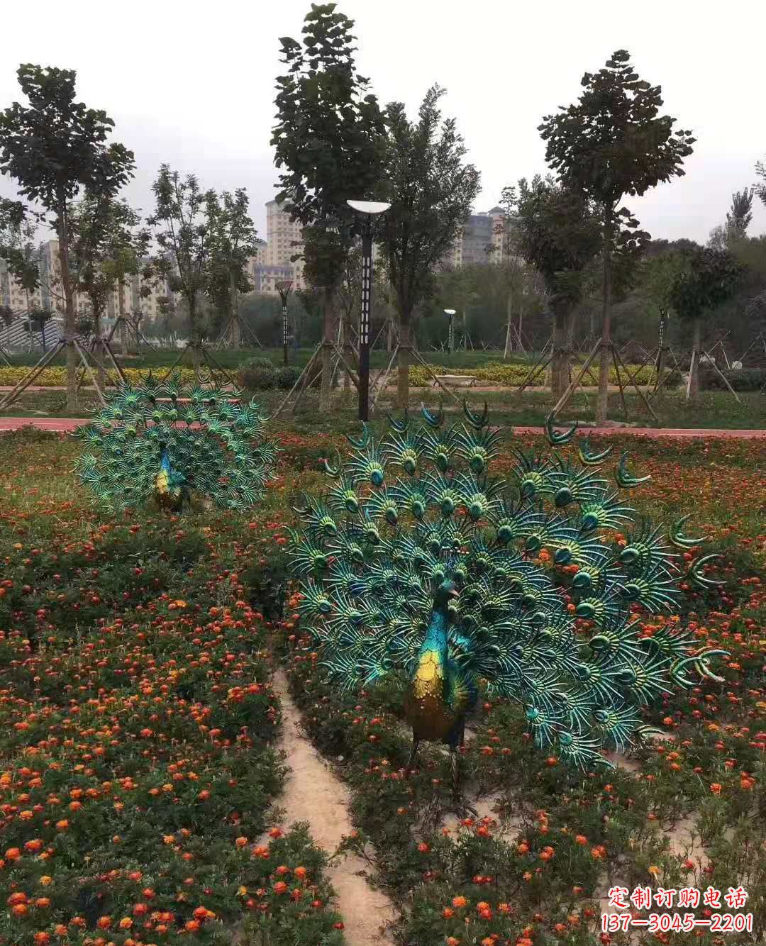 保定不锈钢彩绘孔雀雕塑