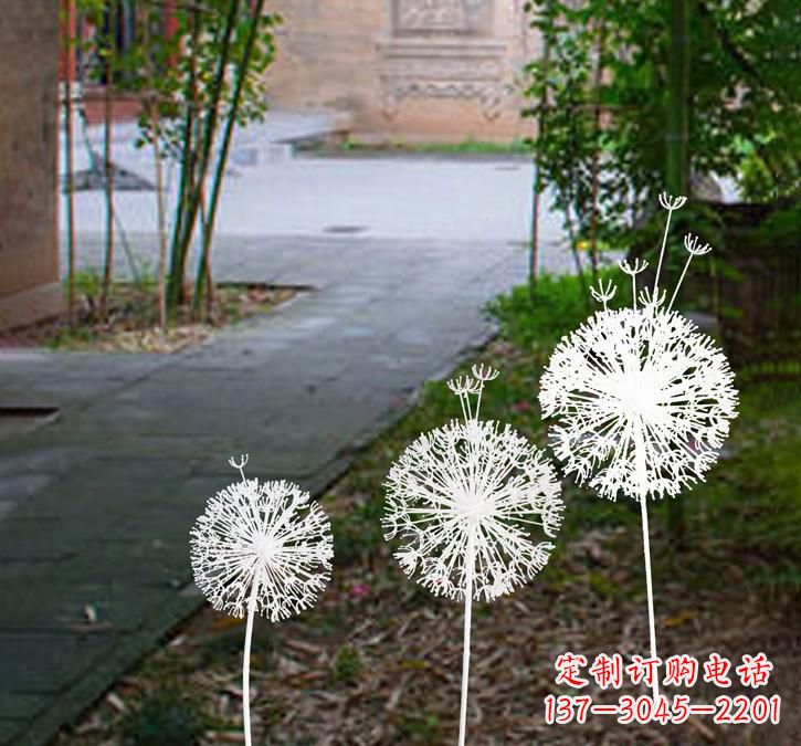 保定不锈钢蒲公英点亮城市之美