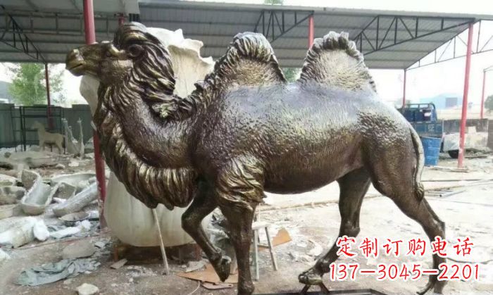 保定动物骆驼铜雕