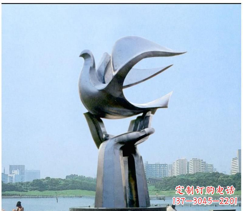 保定静谧之鸽，传递和平象征~