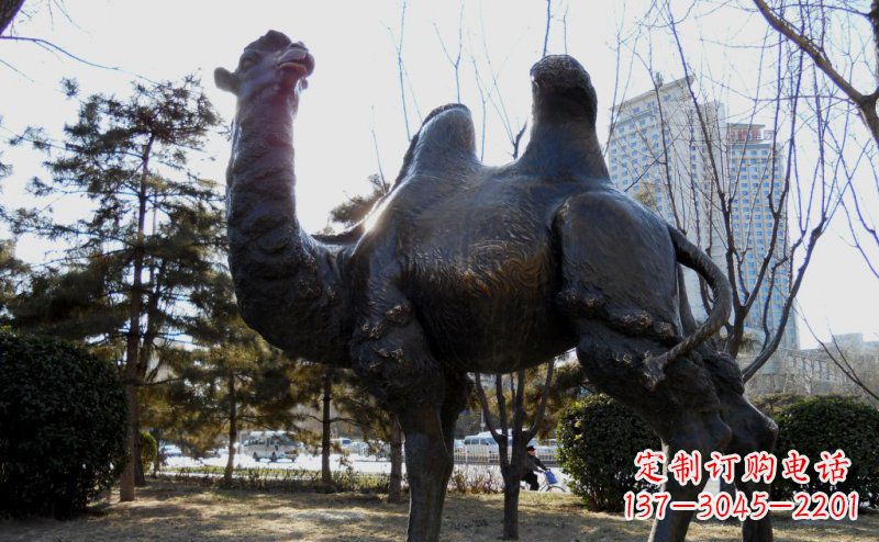 保定优美雕刻骆驼铜雕塑