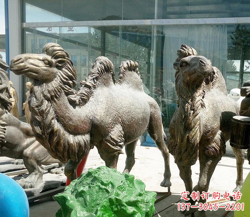 保定公园骆驼动物铜雕 (2)