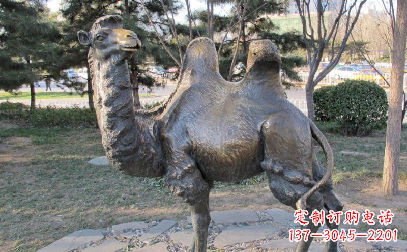 保定铜骆驼雕塑——浓缩自然美丽