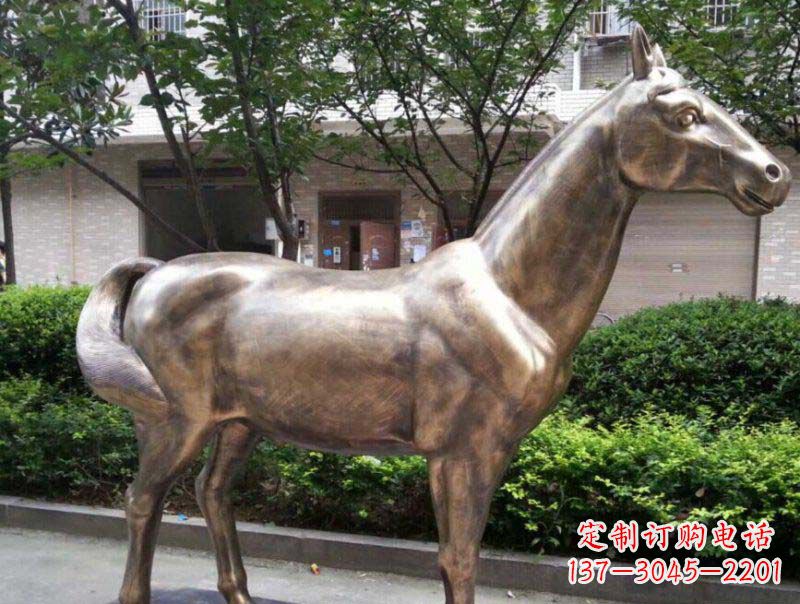 保定公园马动物铜雕 (3)