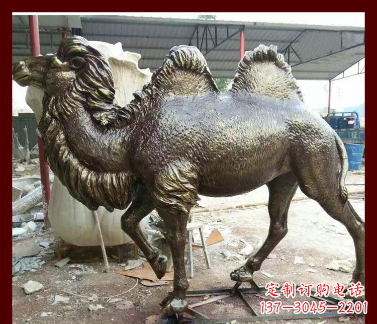 保定双峰骆驼铜雕塑,精美绝伦