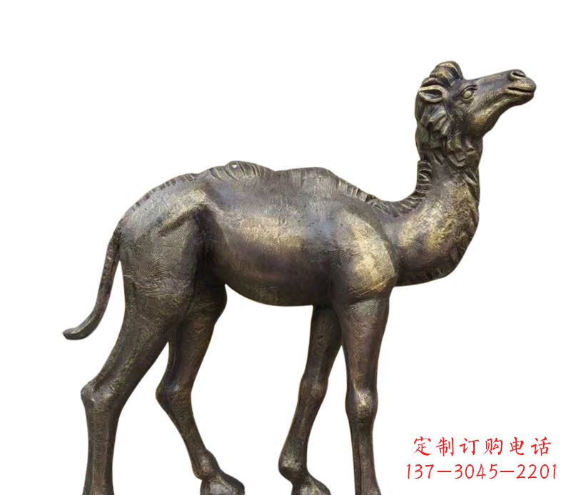 保定公园小骆驼铜雕