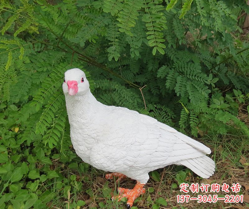 保定灵鸽雕塑鸽子呢
