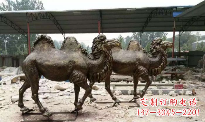 保定典雅优美的骆驼铜雕