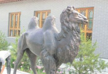 保定精美的骆驼铜雕，提升您的公园气质