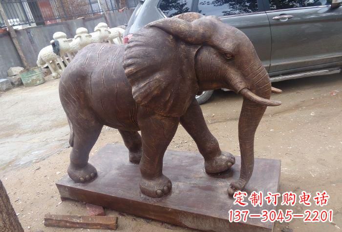 保定您的答案(不超过500字)