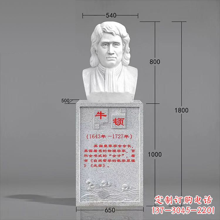 保定艺术精灵:牛顿汉白玉石头像雕塑