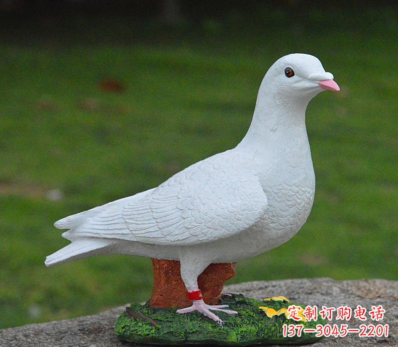 保定美丽的和平鸽雕塑,传递暖暖的正能量