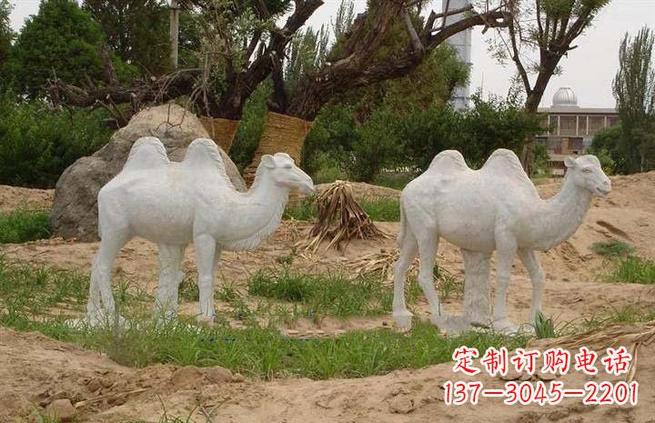 保定欣赏大自然,石雕骆驼公园动物雕塑邀请您