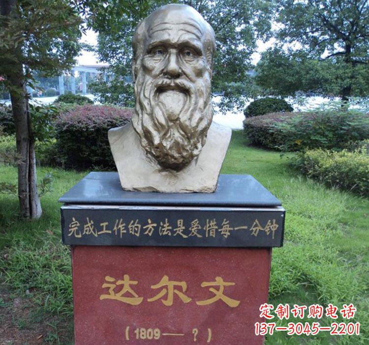 保定铜雕达尔文头像雕塑