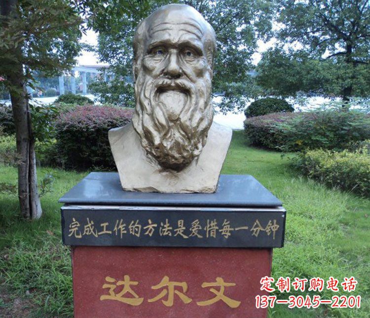 保定铜雕校园达尔文肖像雕塑
