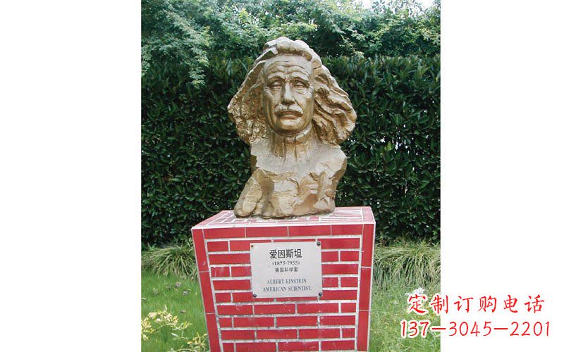 保定西方名人爱因斯坦头像铜雕