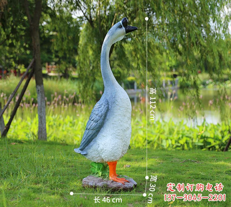 保定站立立脖灰色天鹅